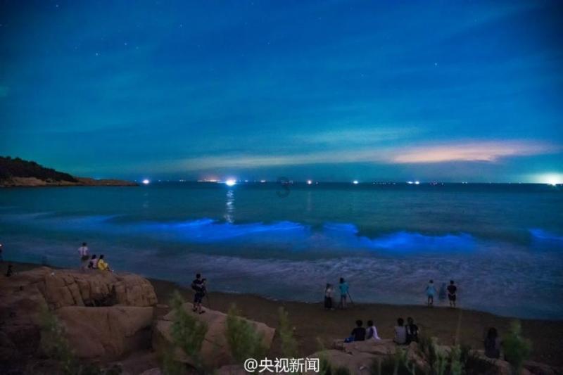 动物帮帮忙保卫家园