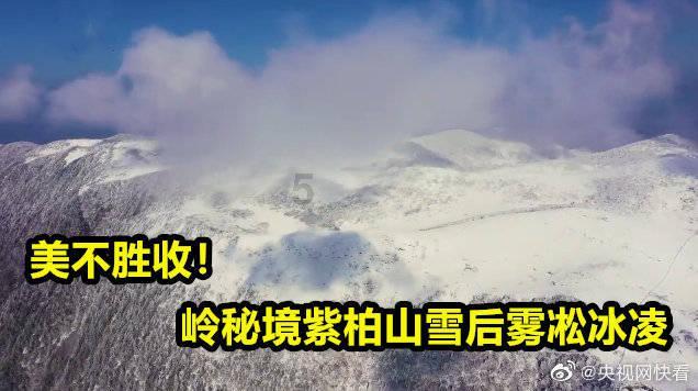 电脑CPU使用率过高是怎么回事?-专业的知识星球平台