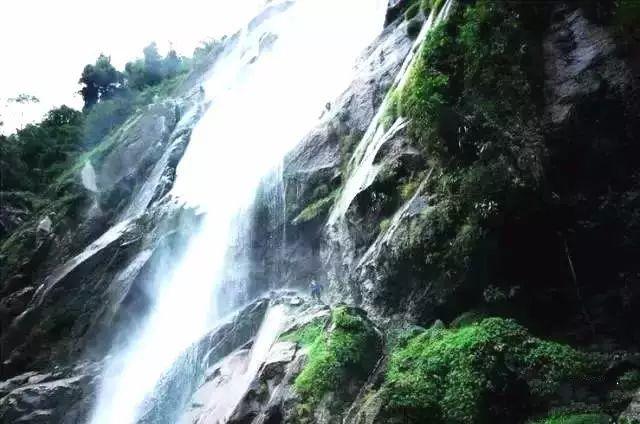 幻想纹章2.1