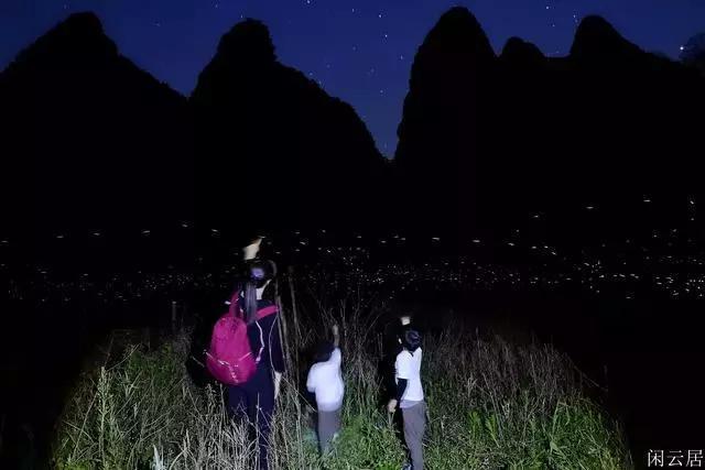 夏日时尚的爱丽