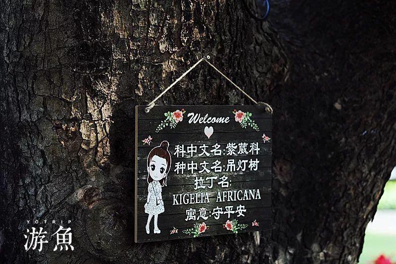 汕头为什么要打造旅游城市？
