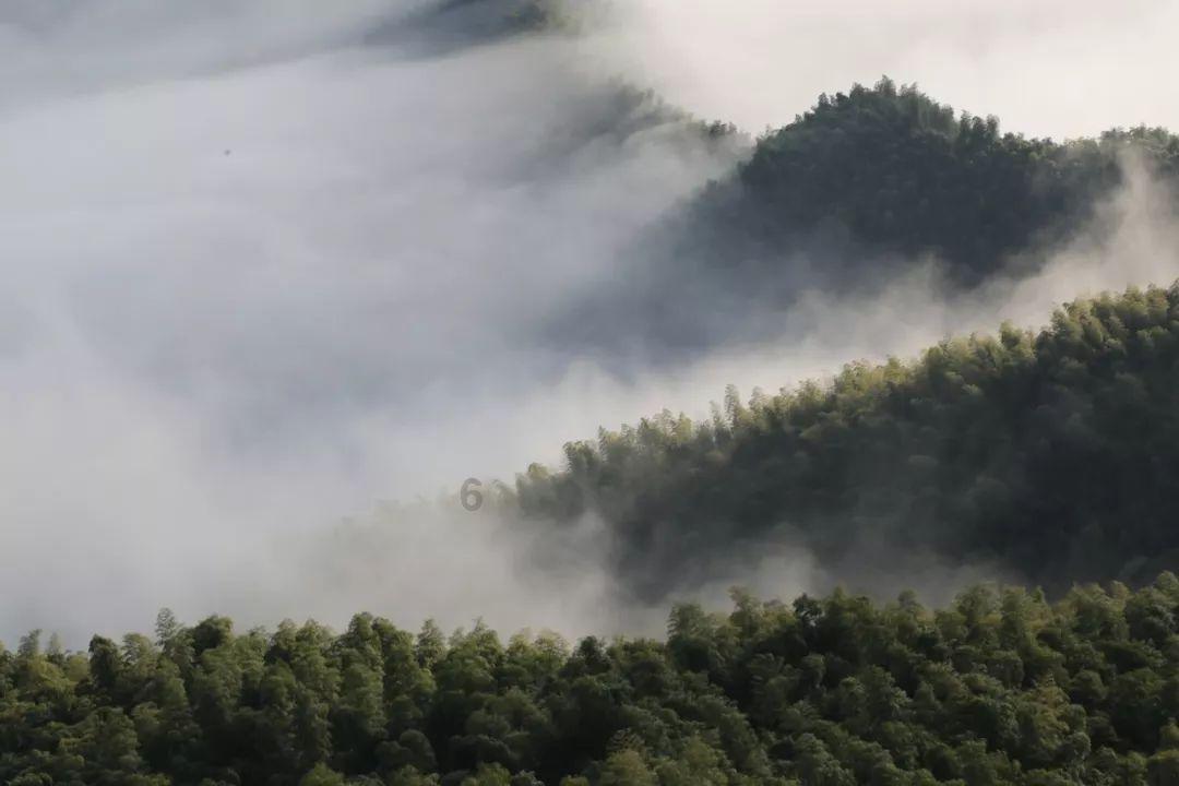日本来的专机,一架接一架降落北京,岸田想要的,中方不可能给