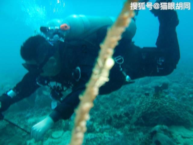方块世界冒险