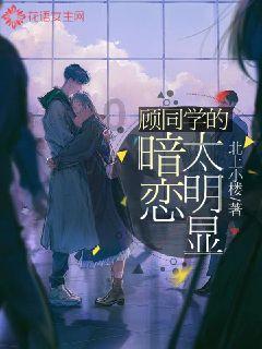 让动物飞一会