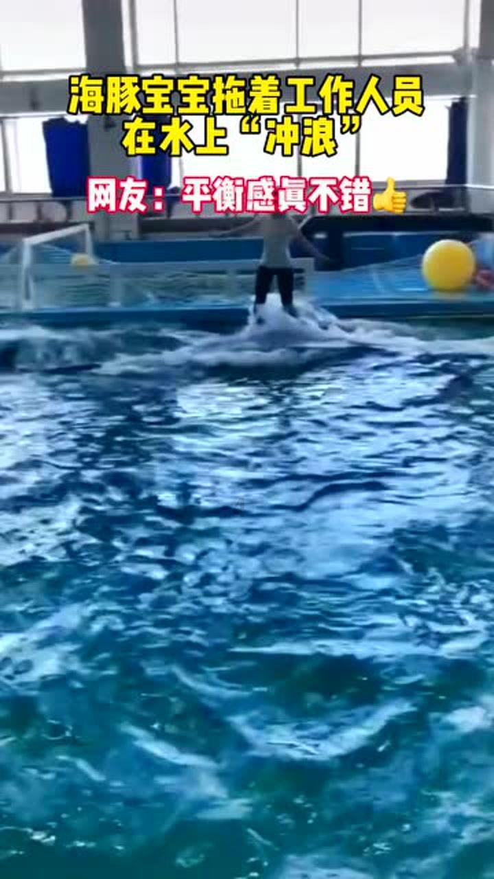 敏捷小球