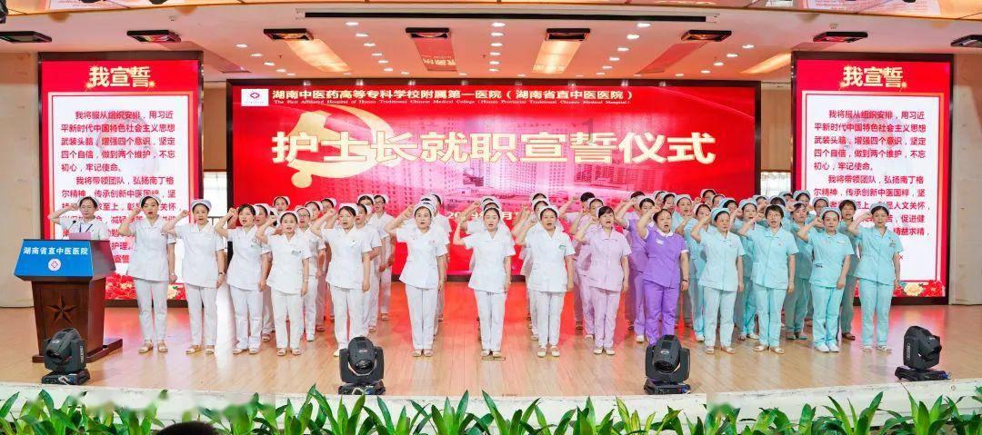 沙皮狗逃离