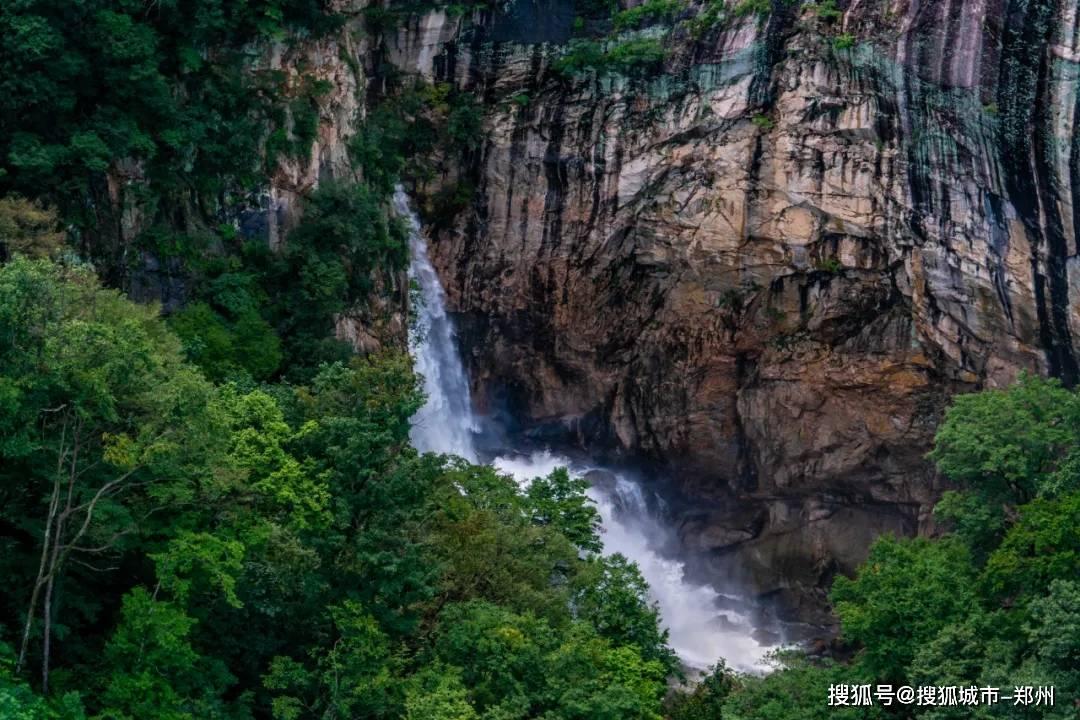 危险的社会