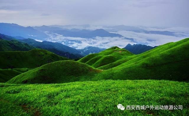 狗狗物品记忆卡