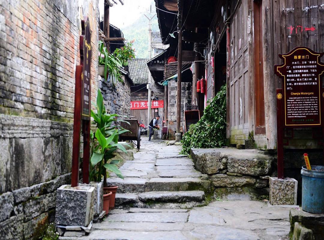 虫虫助手下载