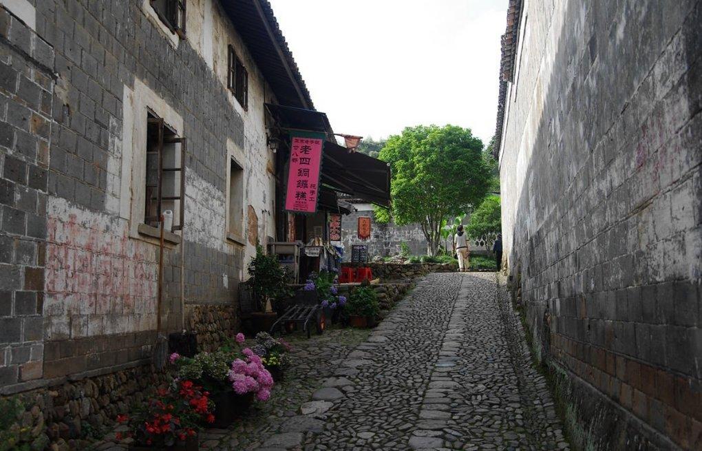 一对男女在林区被群猴围住追打，镇政府：是野生猴，不逗它没事