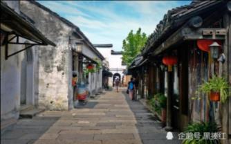 基金经理反思与致歉!去年四季度仍在加仓 今年关注电子、煤炭