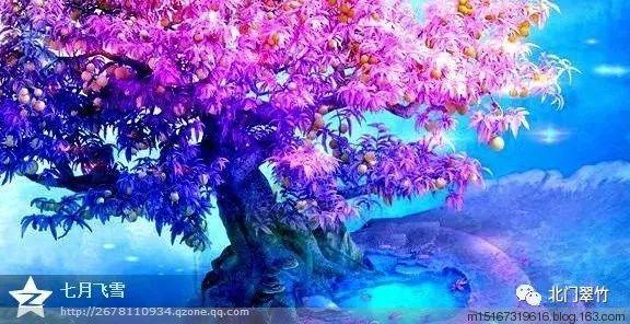完美的收藏品