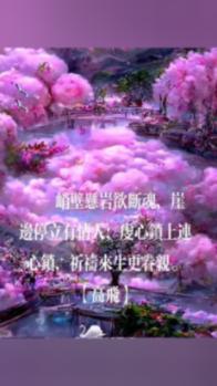 骑士的侍从